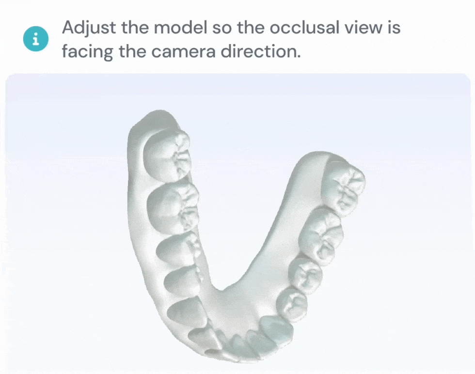 Lower model