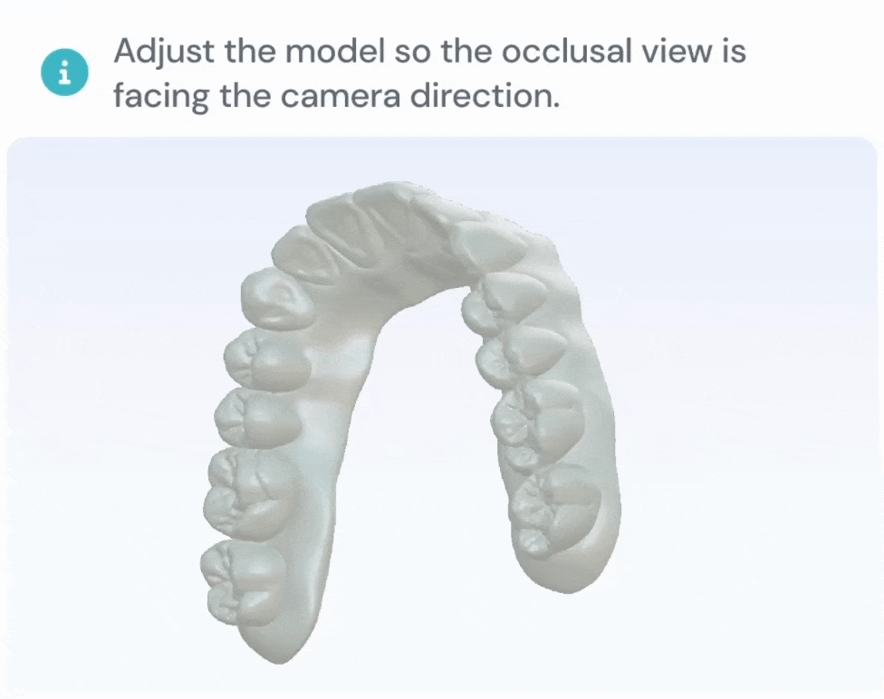 Upper model